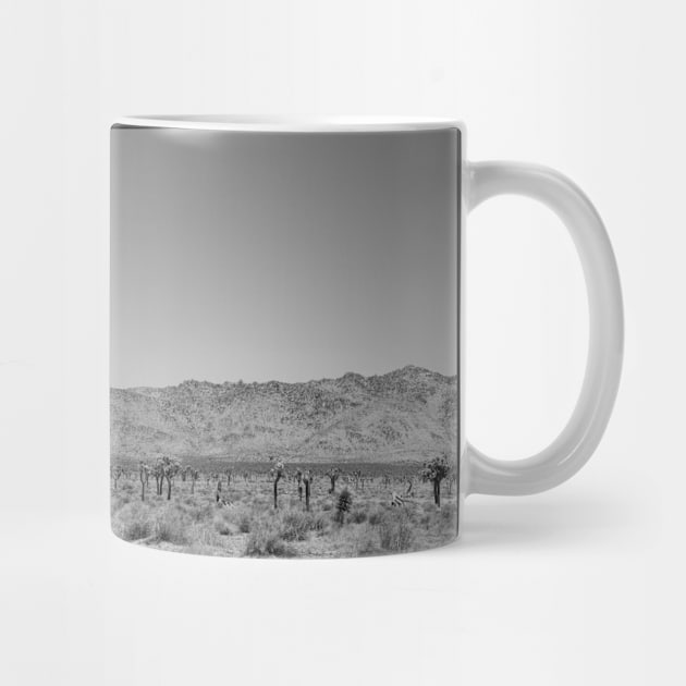 Joshua Tree Landscape Photo V4 by Family journey with God